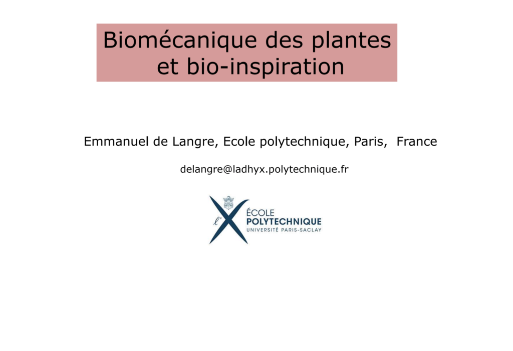 GIS biomécanique des plantes