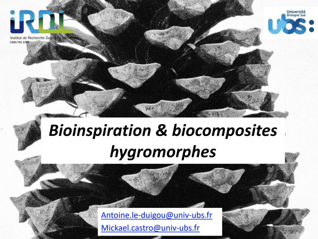 GIS biocomposites hygromorphes